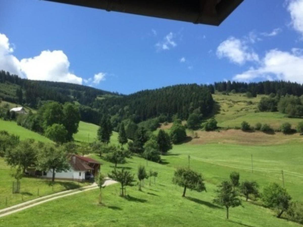 Ferienwohnungen Maierhof Oberried オーベルリート エクステリア 写真