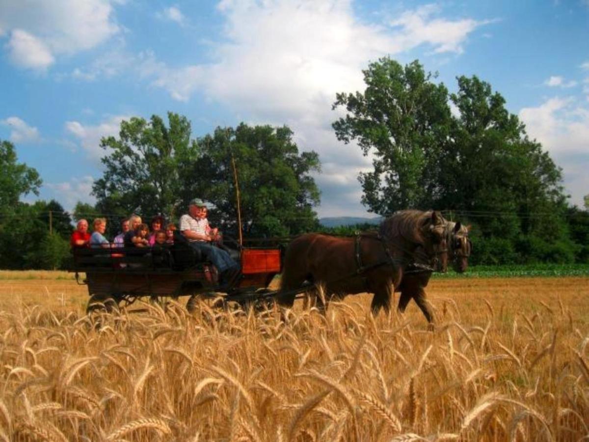 Ferienwohnungen Maierhof Oberried オーベルリート エクステリア 写真