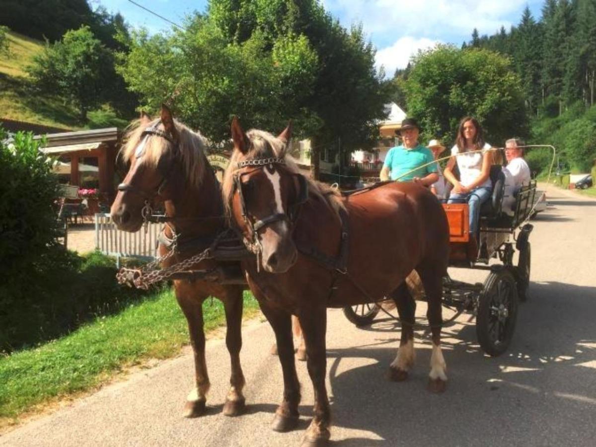Ferienwohnungen Maierhof Oberried オーベルリート エクステリア 写真