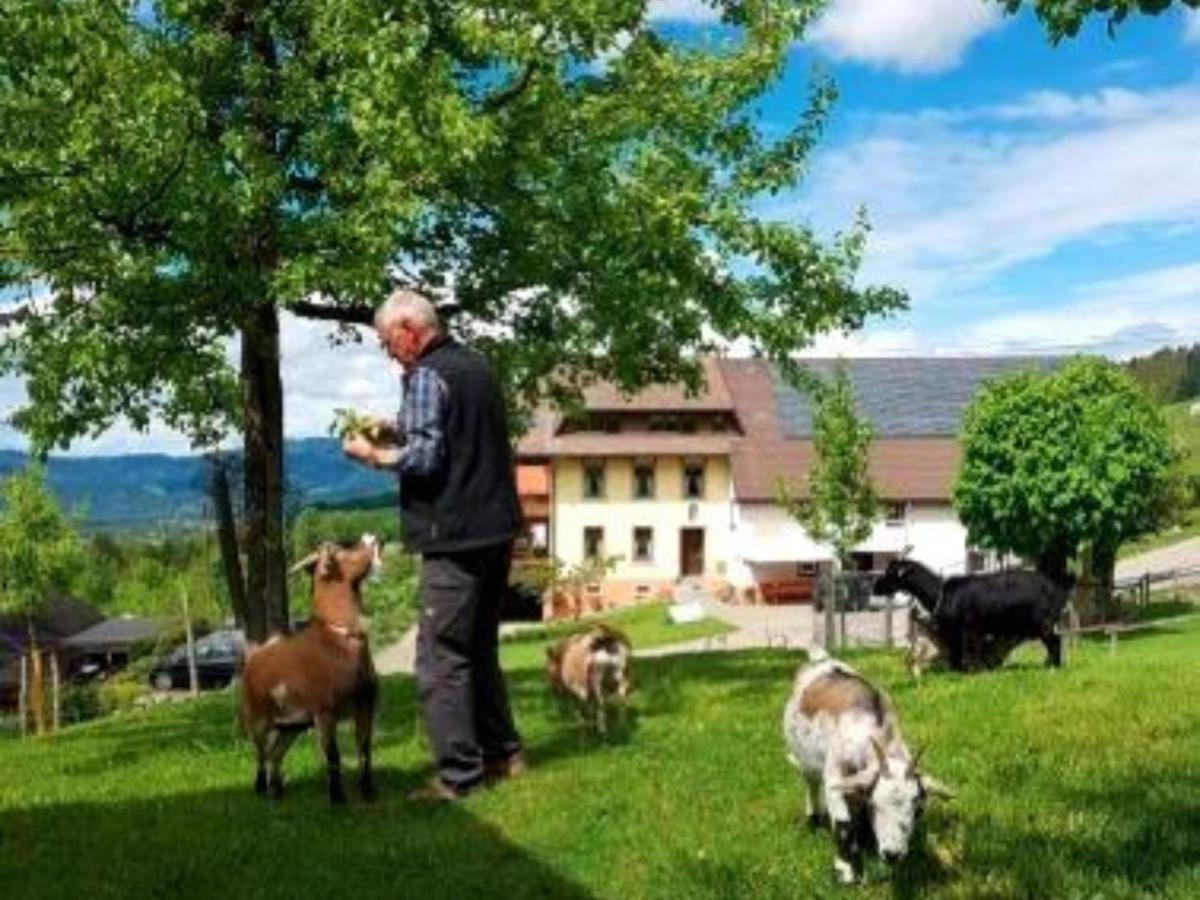 Ferienwohnungen Maierhof Oberried オーベルリート エクステリア 写真