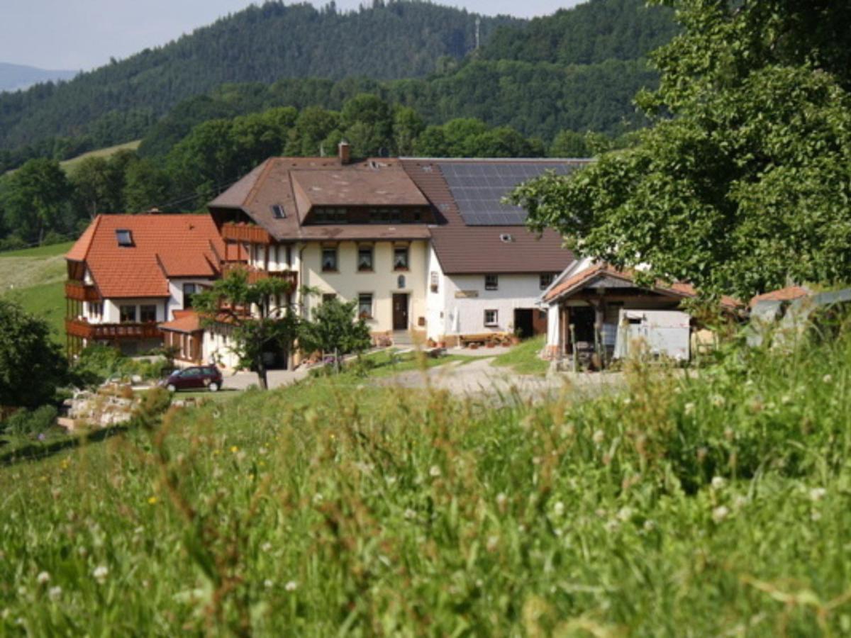 Ferienwohnungen Maierhof Oberried オーベルリート エクステリア 写真