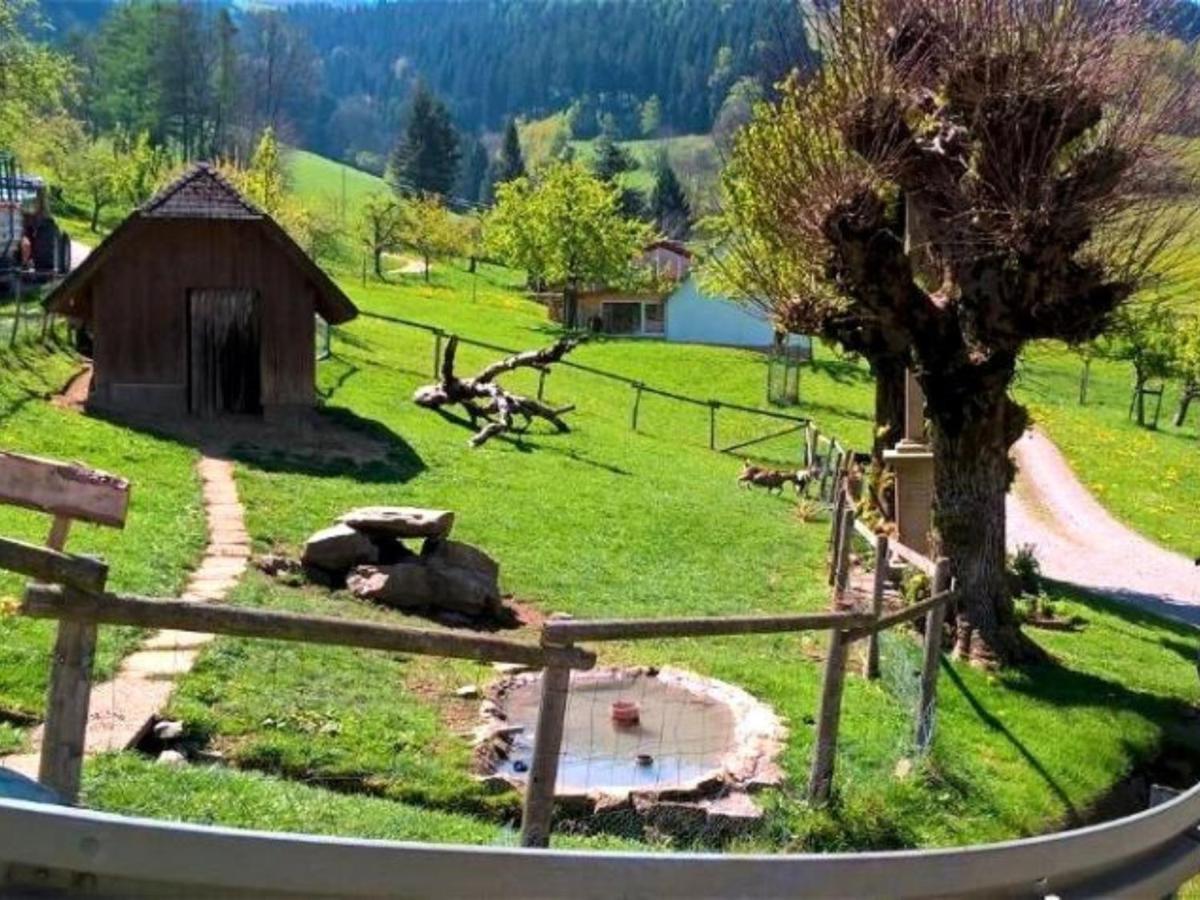 Ferienwohnungen Maierhof Oberried オーベルリート エクステリア 写真