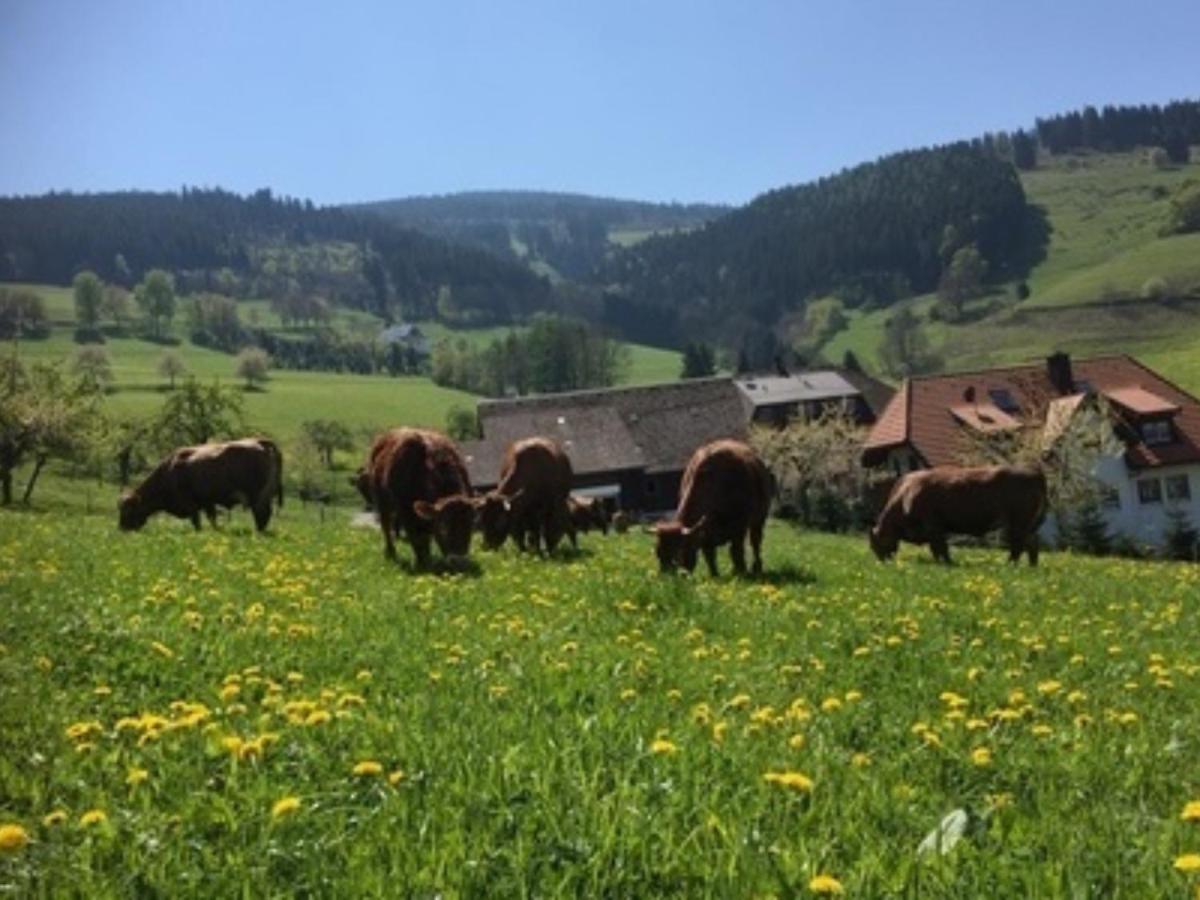 Ferienwohnungen Maierhof Oberried オーベルリート エクステリア 写真