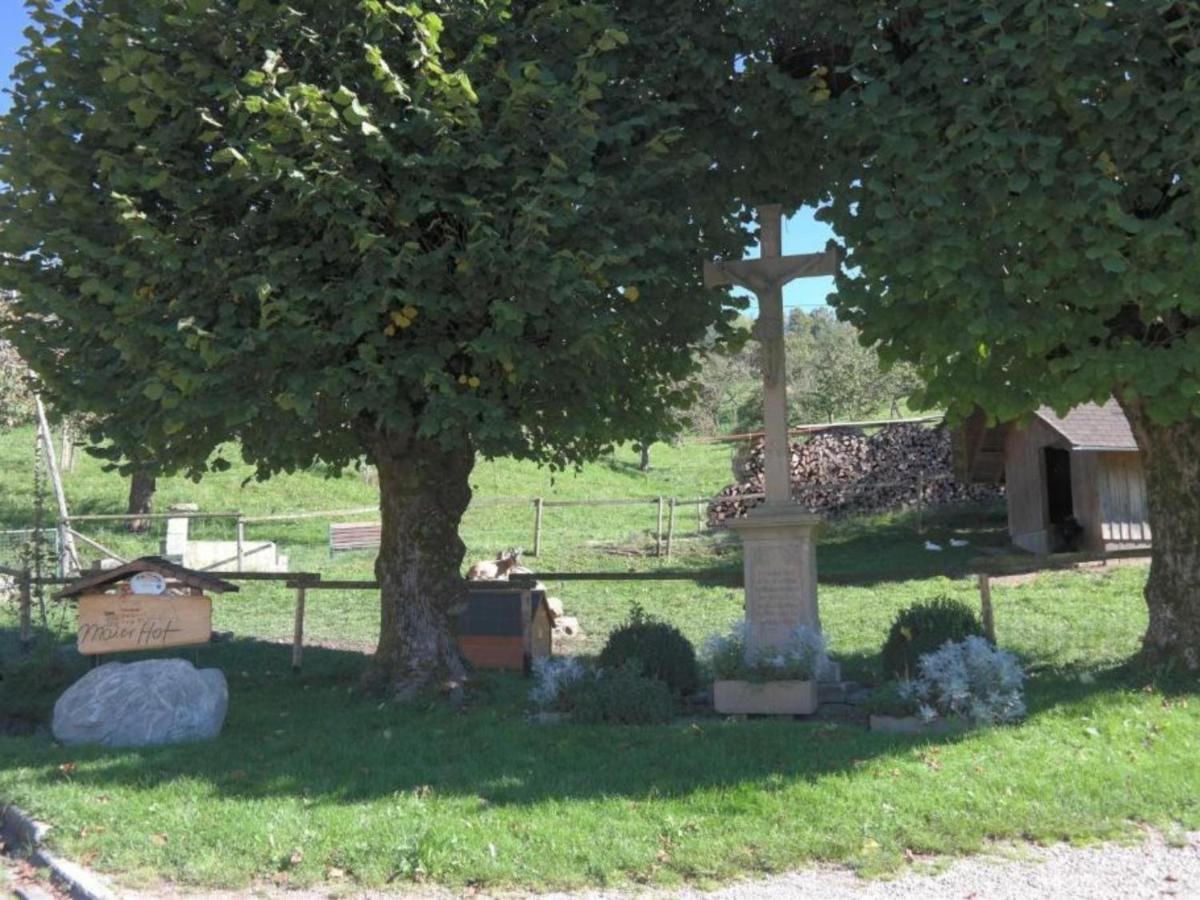 Ferienwohnungen Maierhof Oberried オーベルリート エクステリア 写真